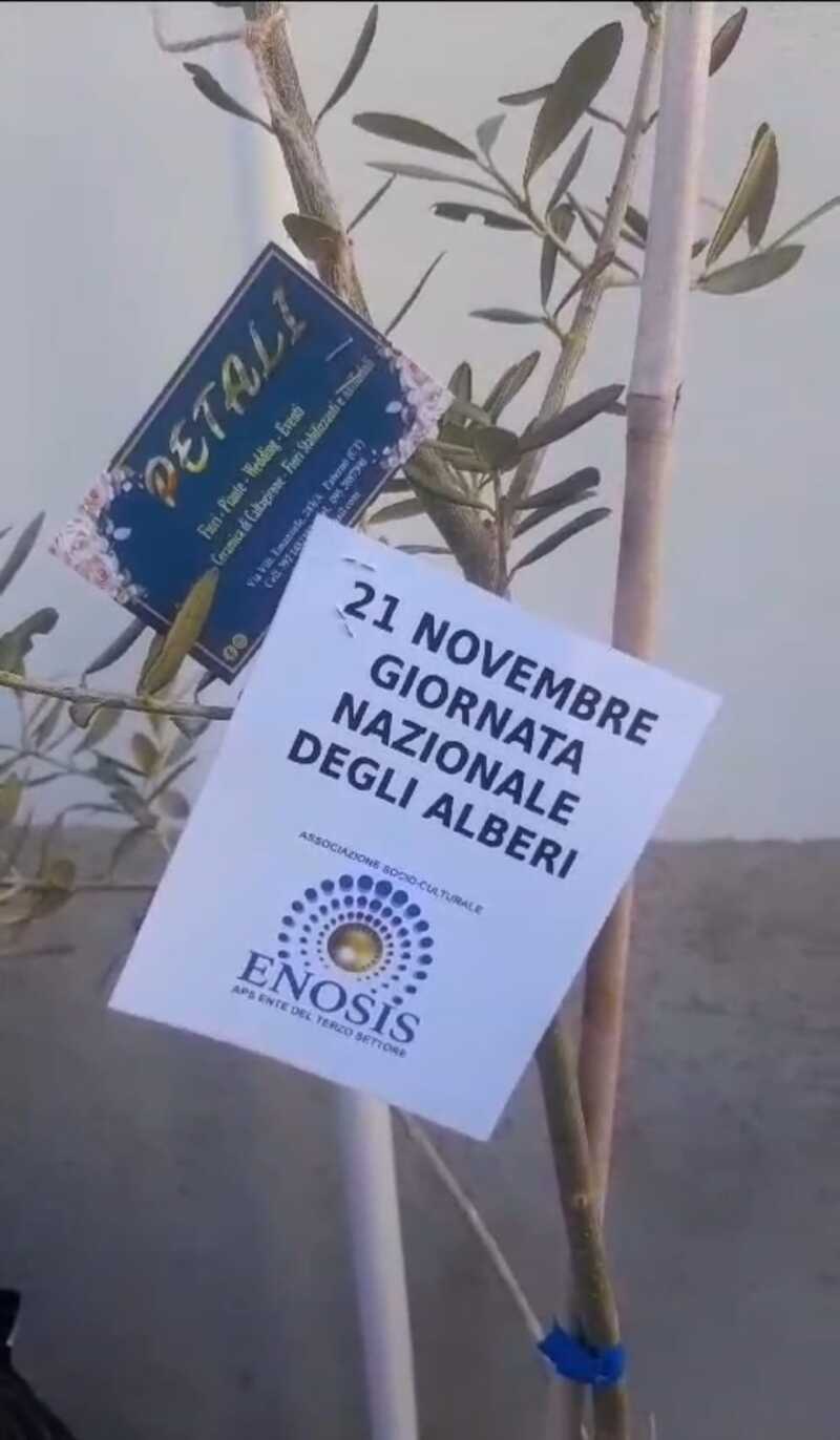 Giornata Nazionale degli Alberi